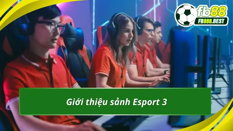 Sơ lược về sảnh Esport 3