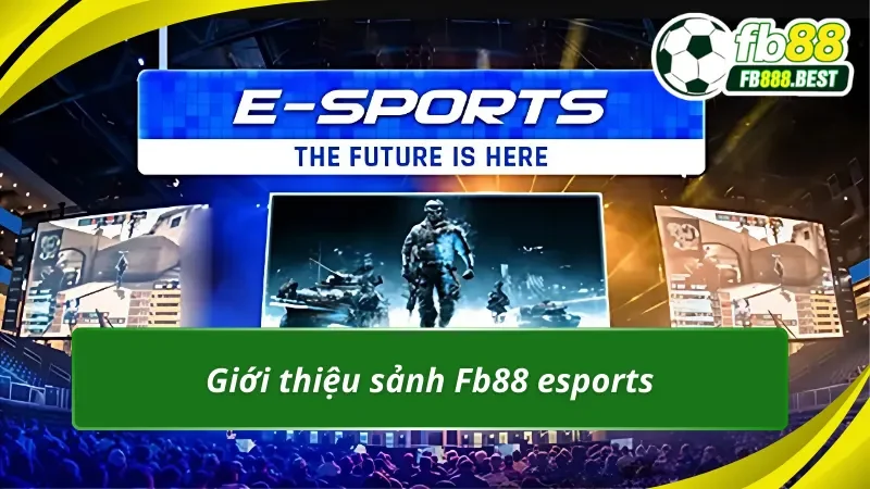 Thông tin chung về sảnh Fb88 esports