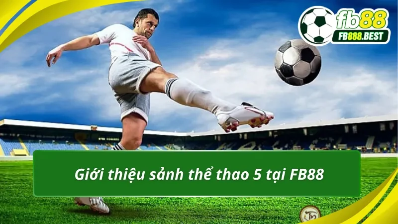 Thông tin đáng chú ý về sảnh Thể thao 5 tại FB88