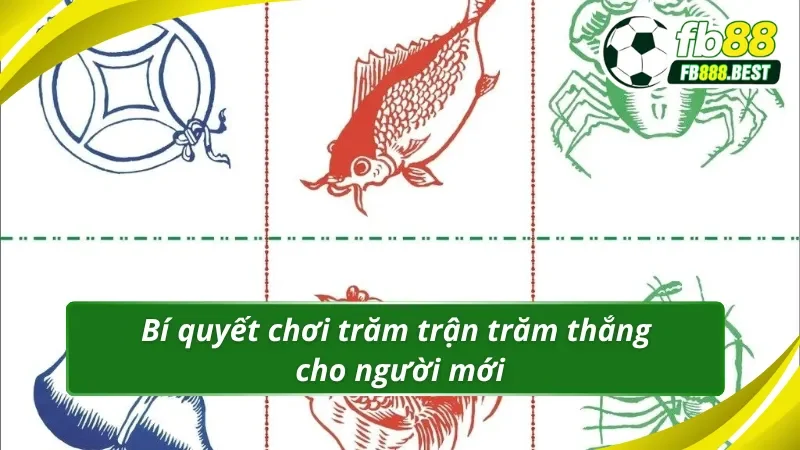 4 tuyệt chiêu hiệu quả từ dân chuyên bạn nên biết