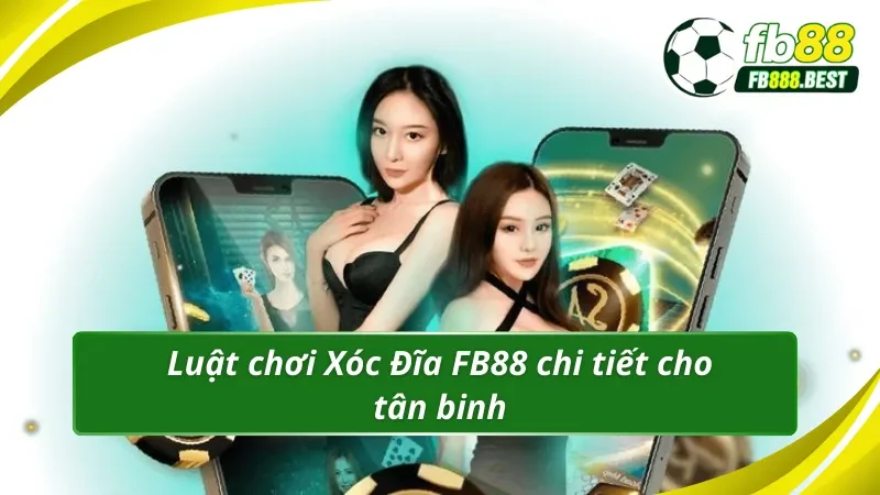 Luật chơi Xóc Đĩa FB88 chi tiết cho tân binh