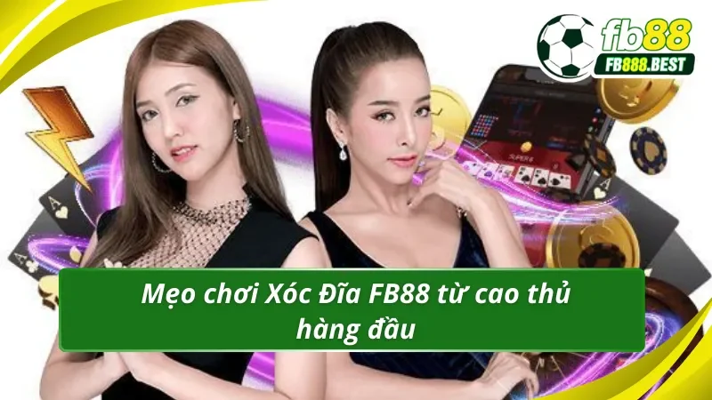 Mẹo chơi Xóc Đĩa FB88 từ cao thủ hàng đầu