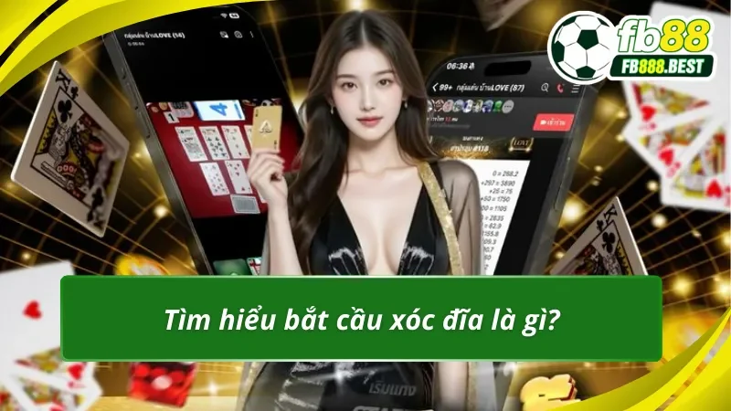 Tìm hiểu bắt cầu xóc đĩa là gì?